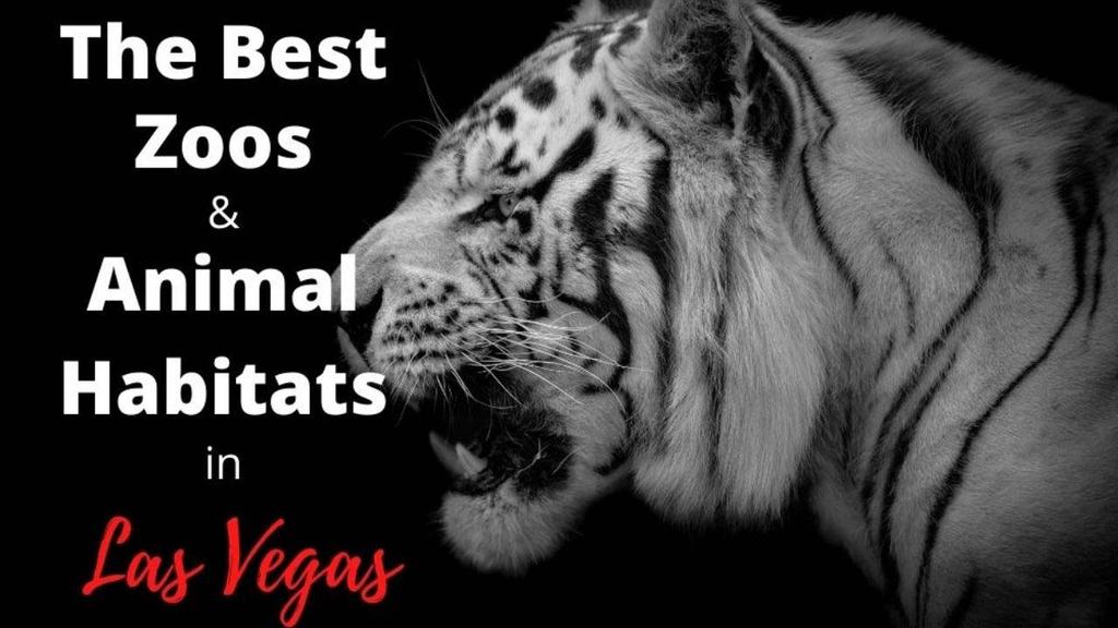 'Video thumbnail for Zoos and Animals in Las Vegas'