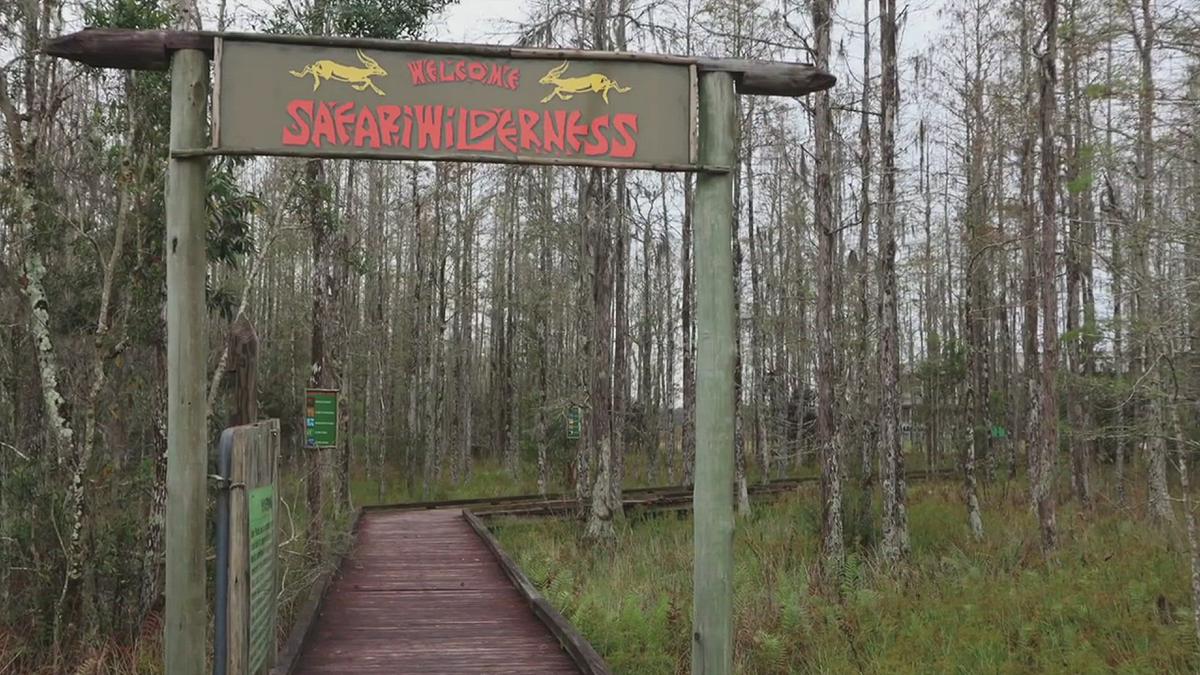 'Video thumbnail for A Safari Wilderness Adventure in Central Florida'