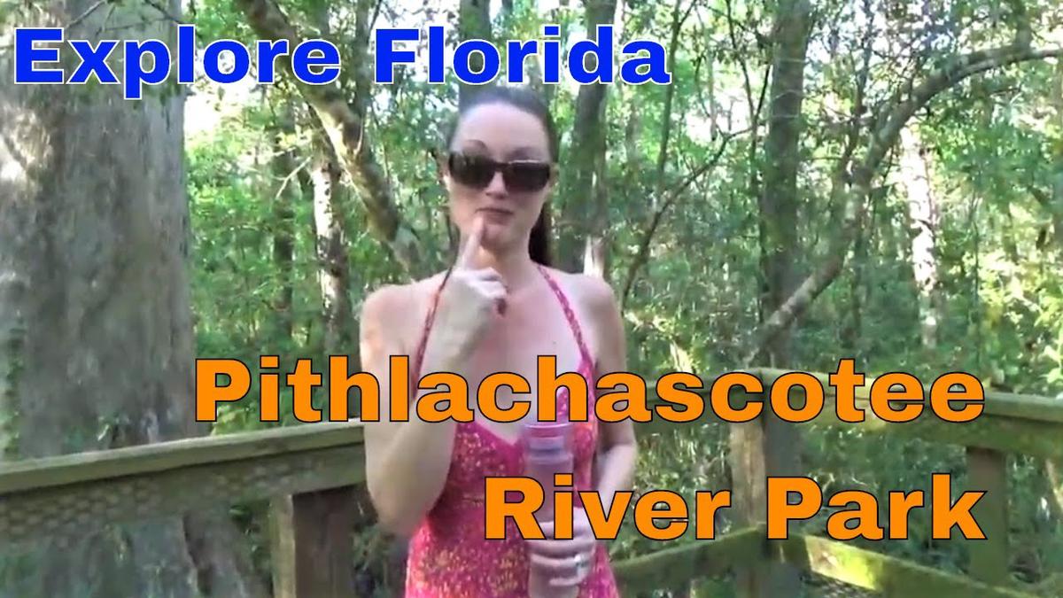 'Video thumbnail for Beautiful Boardwalks Upper Pithlachascotee River Preserve S01-E07 || Explore Florida'